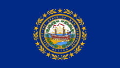 New Hampshire State Flag