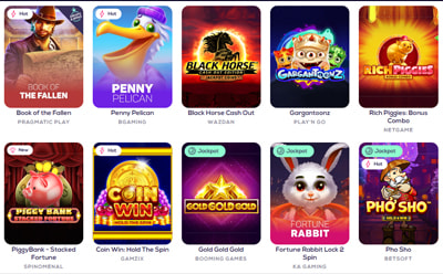 Slot Selection at Wild Fortune