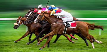 Massachusetts Horse Races