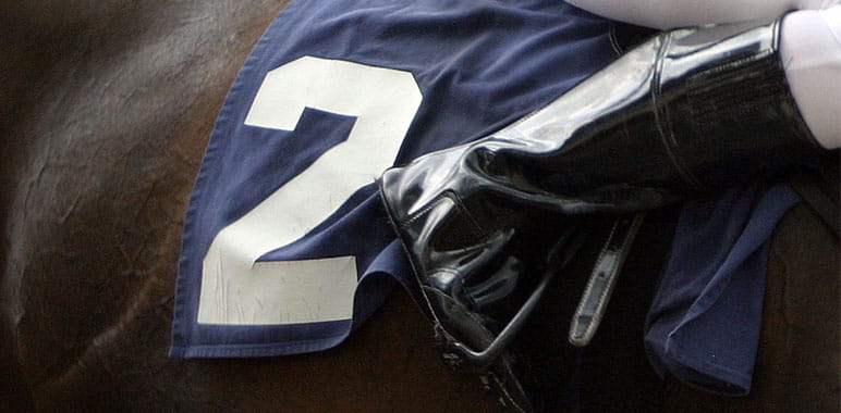 Races and Public sports