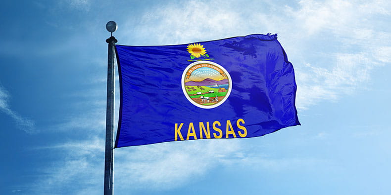 The Kansas State Flag