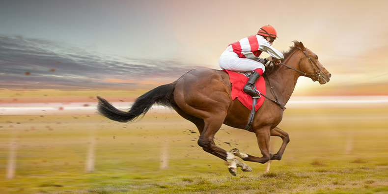 Horse running on racetrack